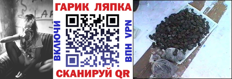 ГАШ гарик Чайковский