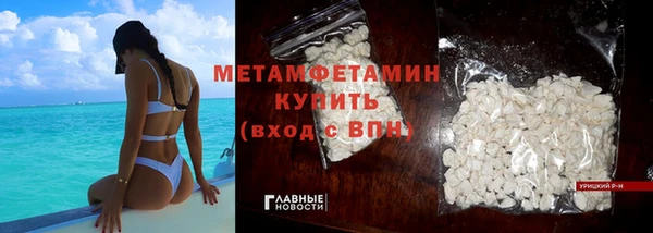 прущие грибы Верхний Тагил