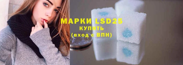 прущие грибы Верхний Тагил
