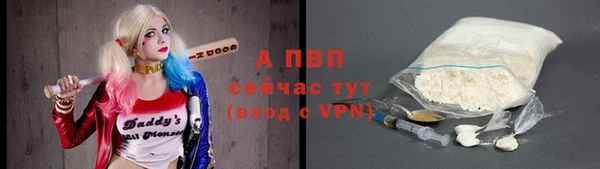 прущие грибы Верхний Тагил