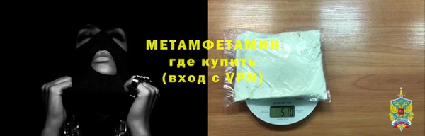 прущие грибы Верхний Тагил