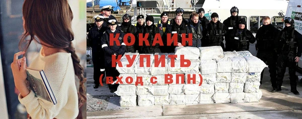 прущие грибы Верхний Тагил