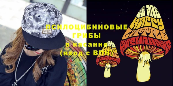прущие грибы Верхний Тагил