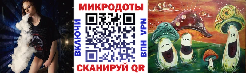 Купить  Чайковский  Псилоцибиновые грибы Psilocybine cubensis 